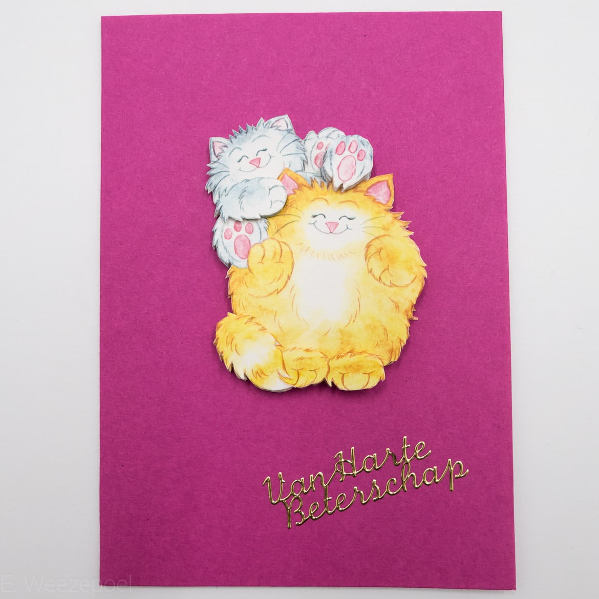 weezepoel-get-well-card